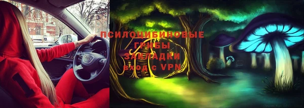 ешки Алзамай