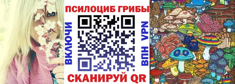 Псилоцибиновые грибы MAGIC MUSHROOMS  купить  сайты  Тара 